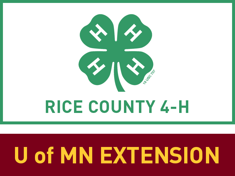 Logo for 2024 Rice County Fair