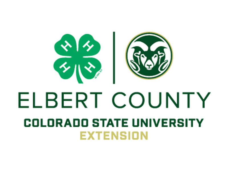 Logo for 2024 Elbert County Fair
