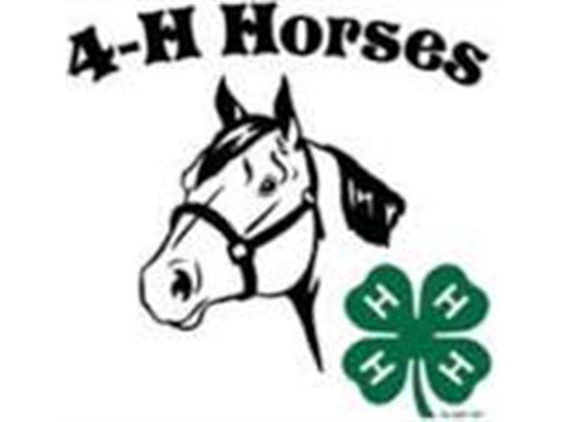 Logo for 2024 Jerauld Buffalo Horse Show